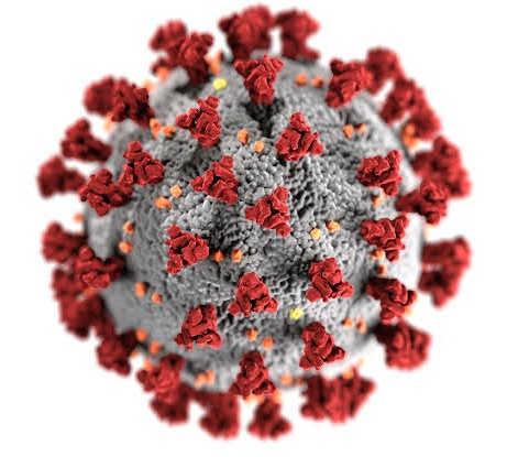 Coronavirus Symptoms | What to do after Covid-19 Symptoms?
