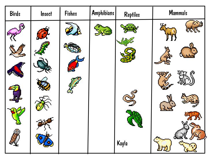 free-animal-classification-worksheets-rebbret