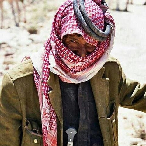 من شابه اباه فما ظلم واحة الأحيوات