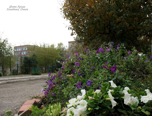 Кубанская осень Кубанская осень