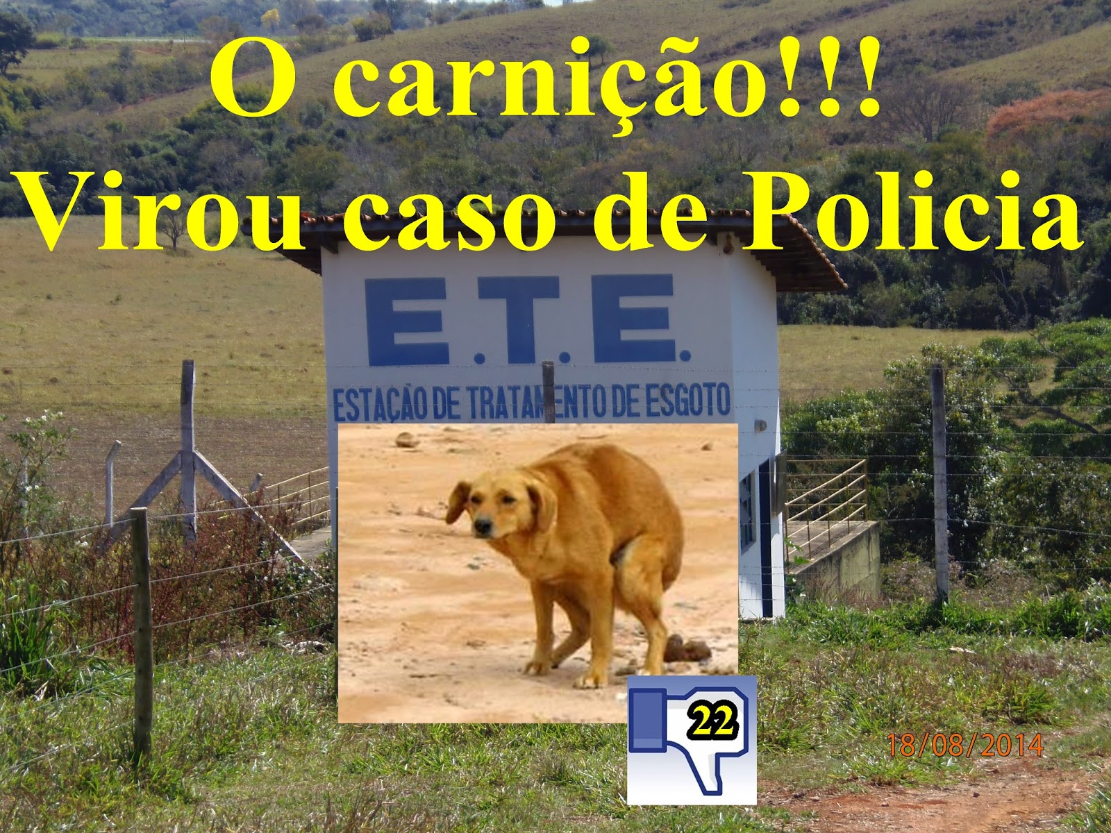 A VOZ DO POVO : Cruzeiro da Fortaleza, MG: ETE carnição vira caso de