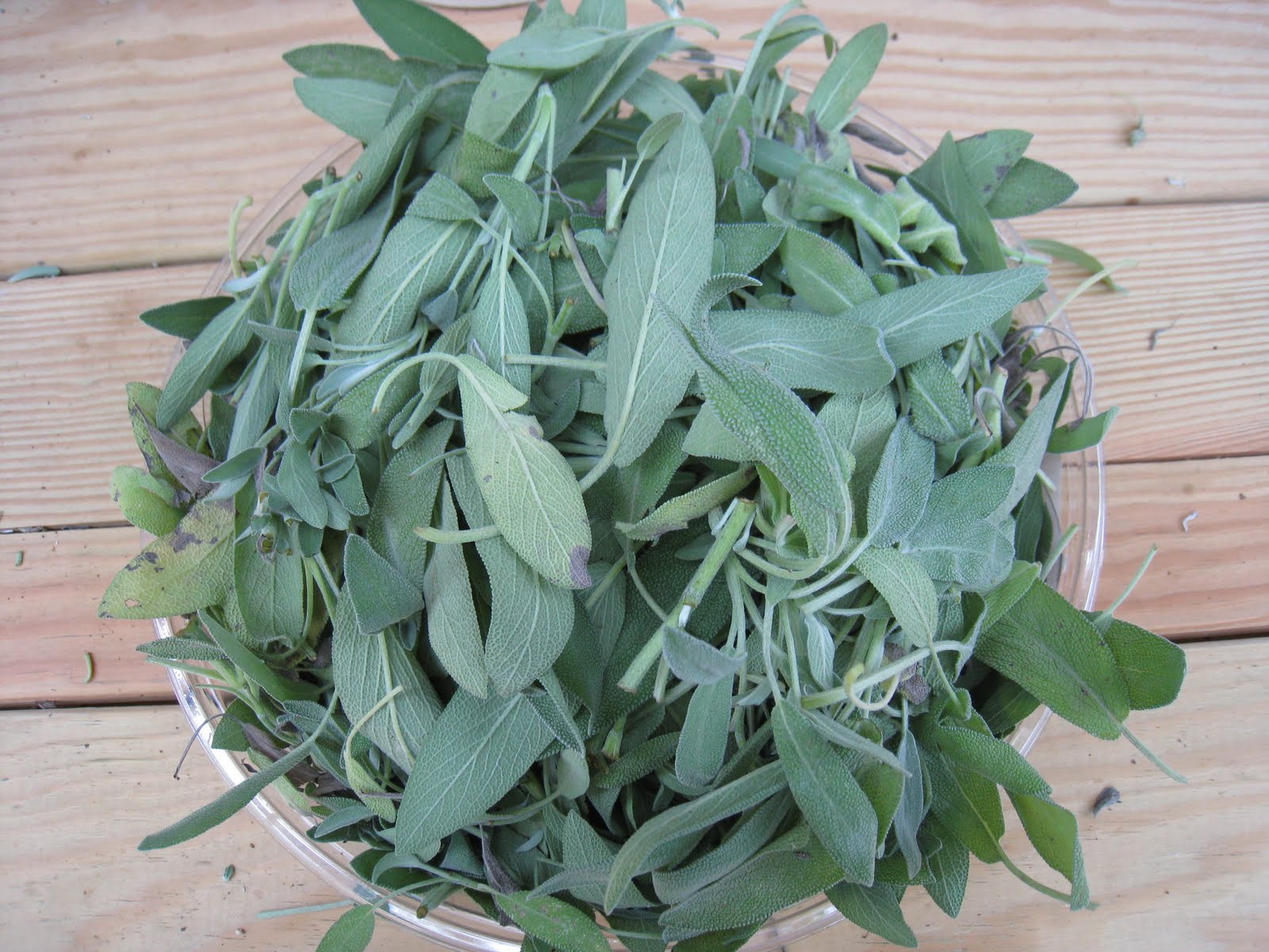 Honeysuckle Cottage and Wisteria Studio Garden Sage Dyed Cotton Pulp