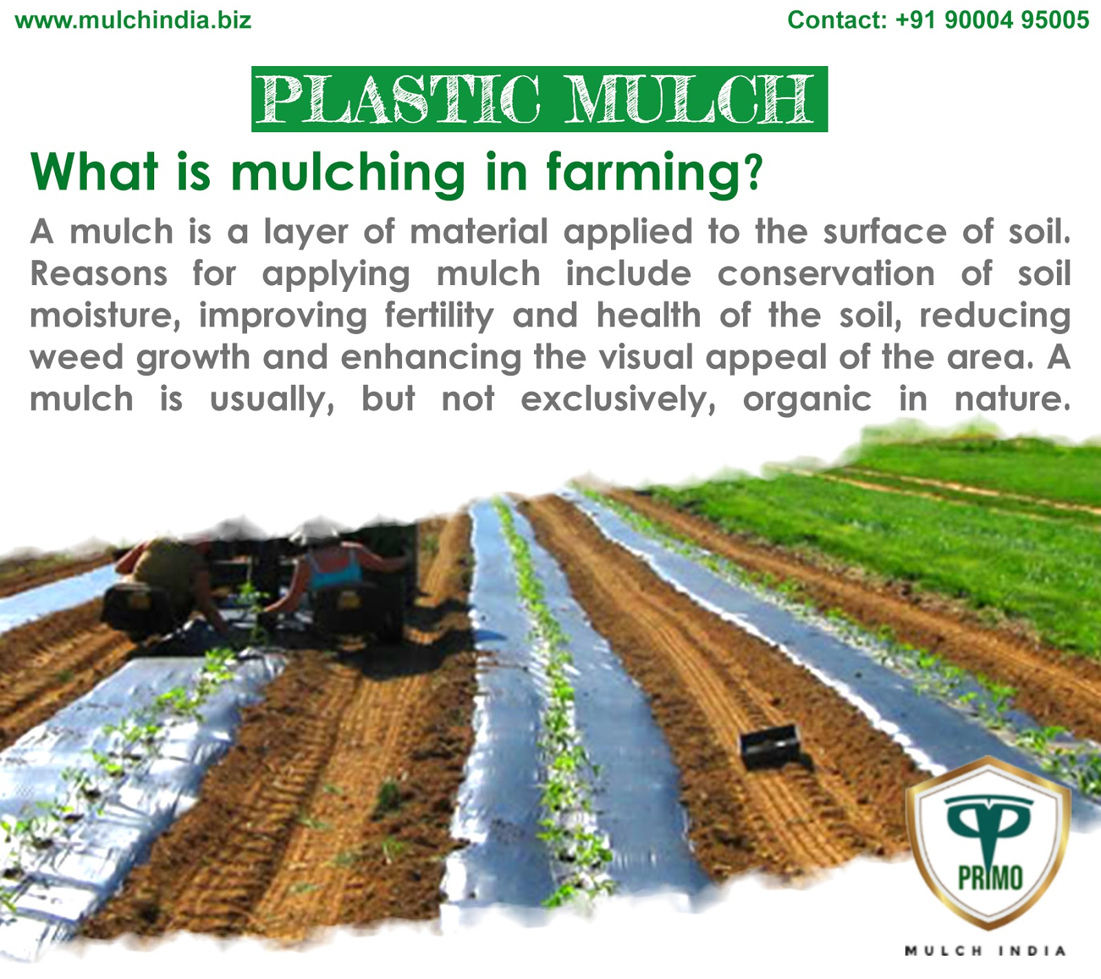 MulchIndia: What is mulching in Farming? - Mulch India Call:+91