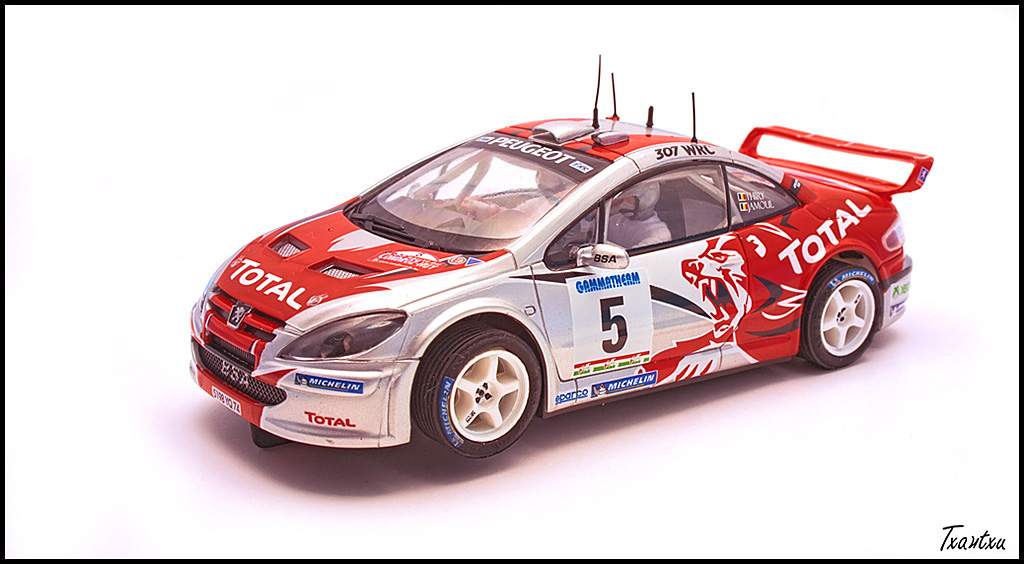 Las aficiones de Txantxu: Peugeot 307 WRC.