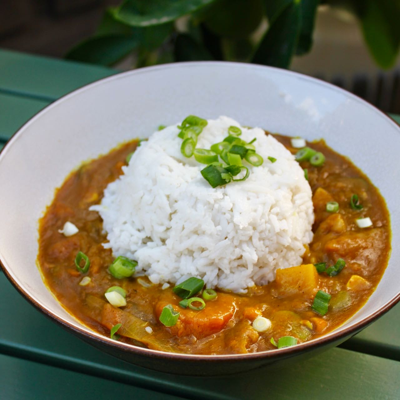 Green Gourmet Giraffe Vegetarian Japanese Curry