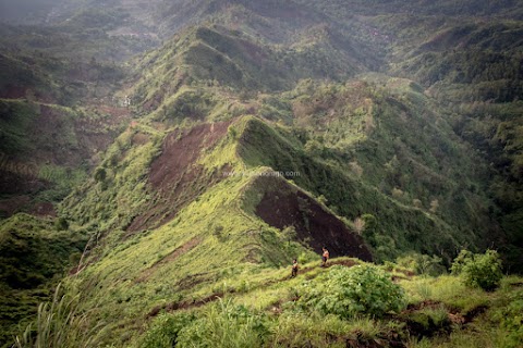 Paket Wisata Trail Running /Lari Alam Bebas (Sport Tourism)