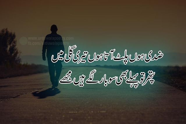 zid-quotes-in-urdu