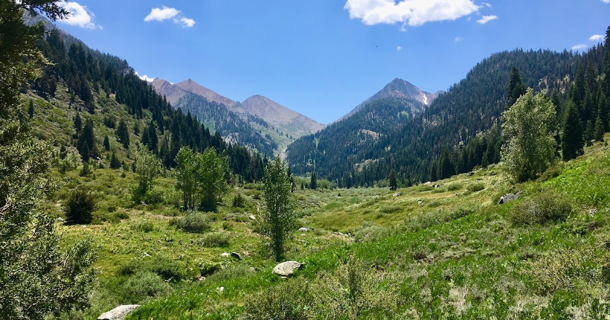 The View to There Road Trip Mineral King, CA / July 2020