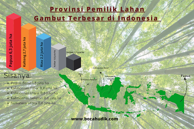 Infografis Lahan Gambut di Indonesia www.bocahudik.com