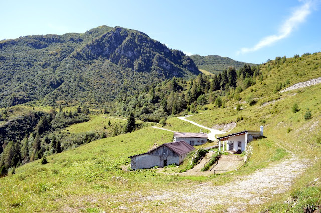 monte zoncolan estate anello tamai