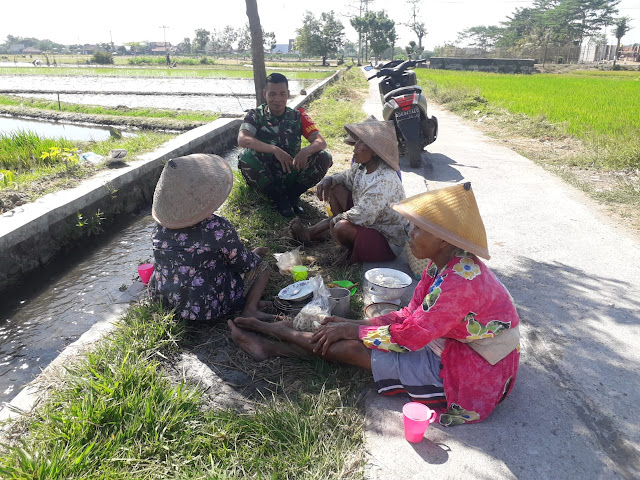 Untuk Selalu Menjalin Keakraban, Babinsa Komsos Dengan Para Petani
