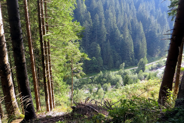 giro delle malghe vanoi