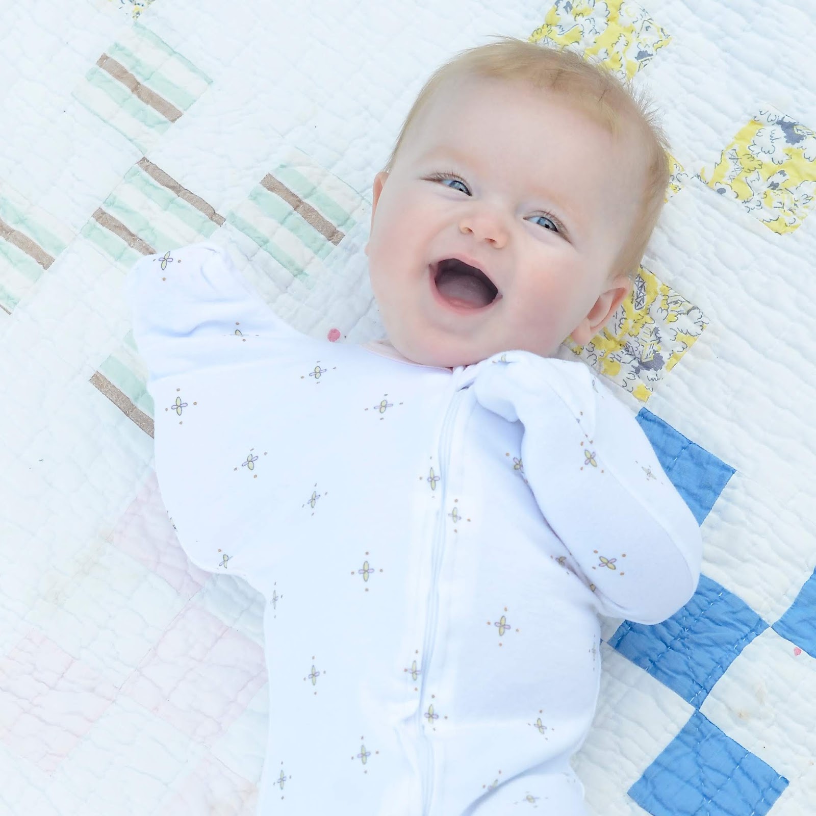 Love Like Crazy Swaddle Designs Transitional Swaddle