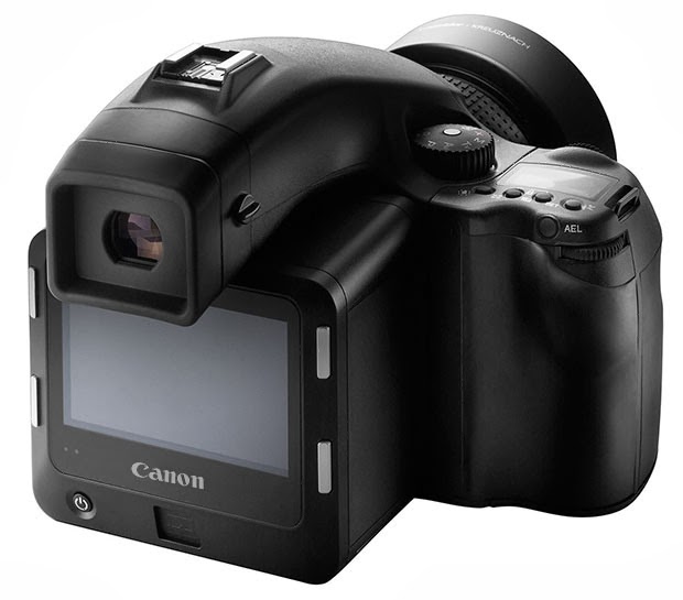 Michael Daniel Ho - The Wildlife Ho-tographer: Canon Exploring Medium