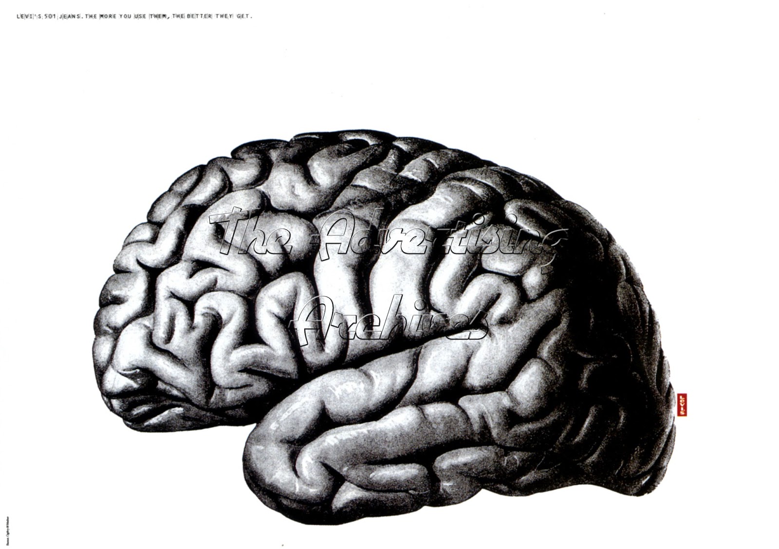 Large brain. Биг мозг. Big Brain фото. Биг Брейн мозг. Ukraine big Brain.