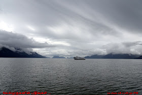 Kenai Fjords Wildlife Cruise Seward