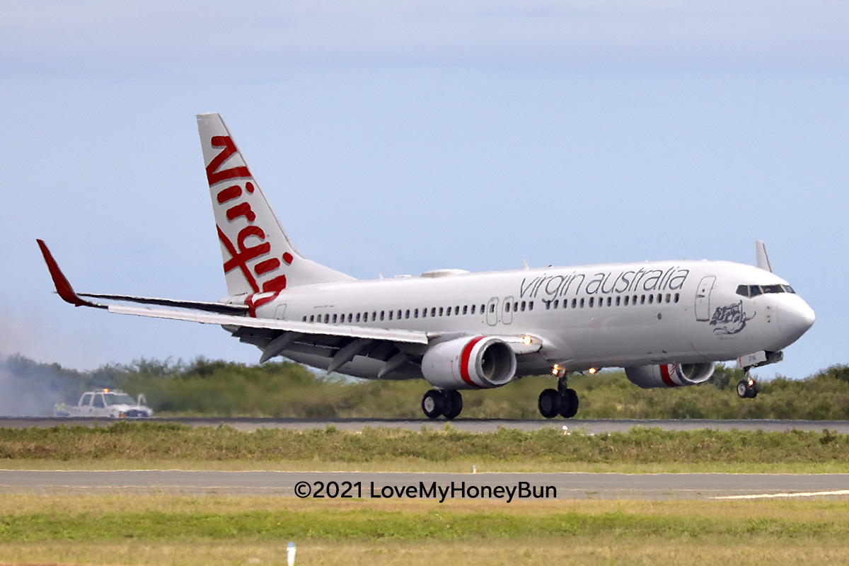 Hnl Rarebirds 21