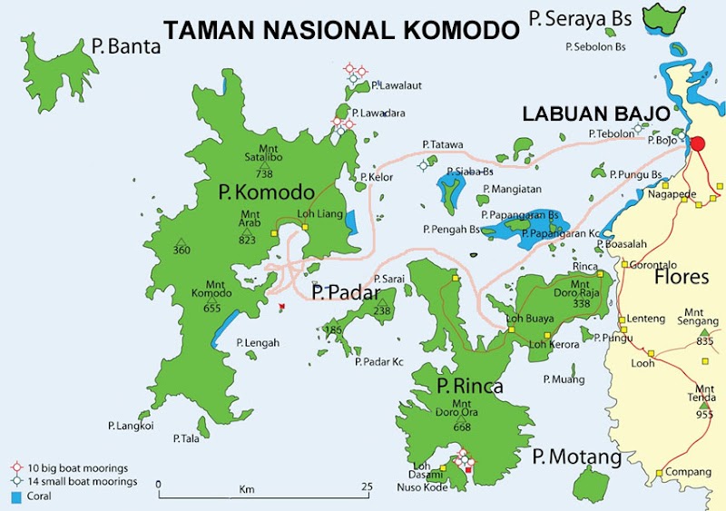 19+ Konsep Top Peta Pulau Komodo Indonesia