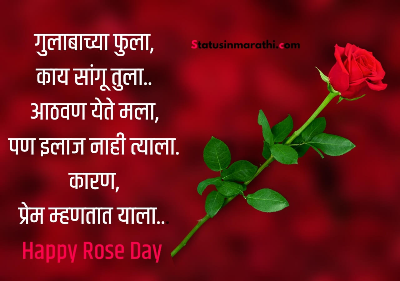 रोज डे शुभेच्छा मराठी Rose day wishessmsstatus Marathi