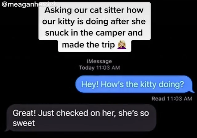 Herrick and cat sitter text communication