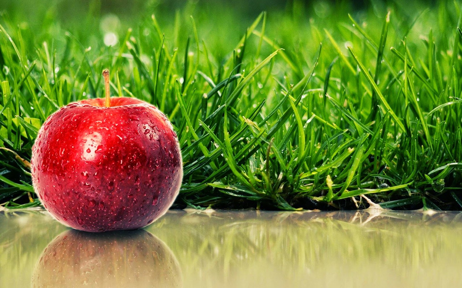 Red Apple Photography Inspiration Pixekite