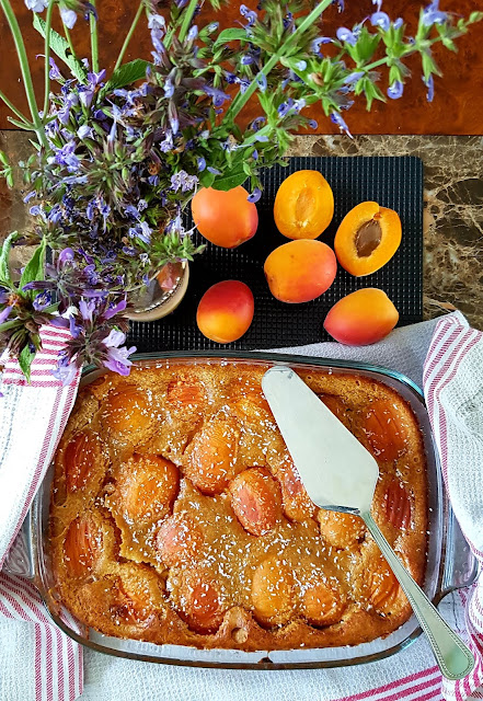 Clafoutis aux abricots amandine;sans gluten;Clafoutis aux abricots amandine;sans gluten