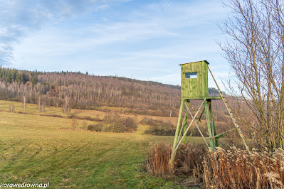 Łysa Góra (707 m n.p.m), jedna z najwyższych w Kaczawach