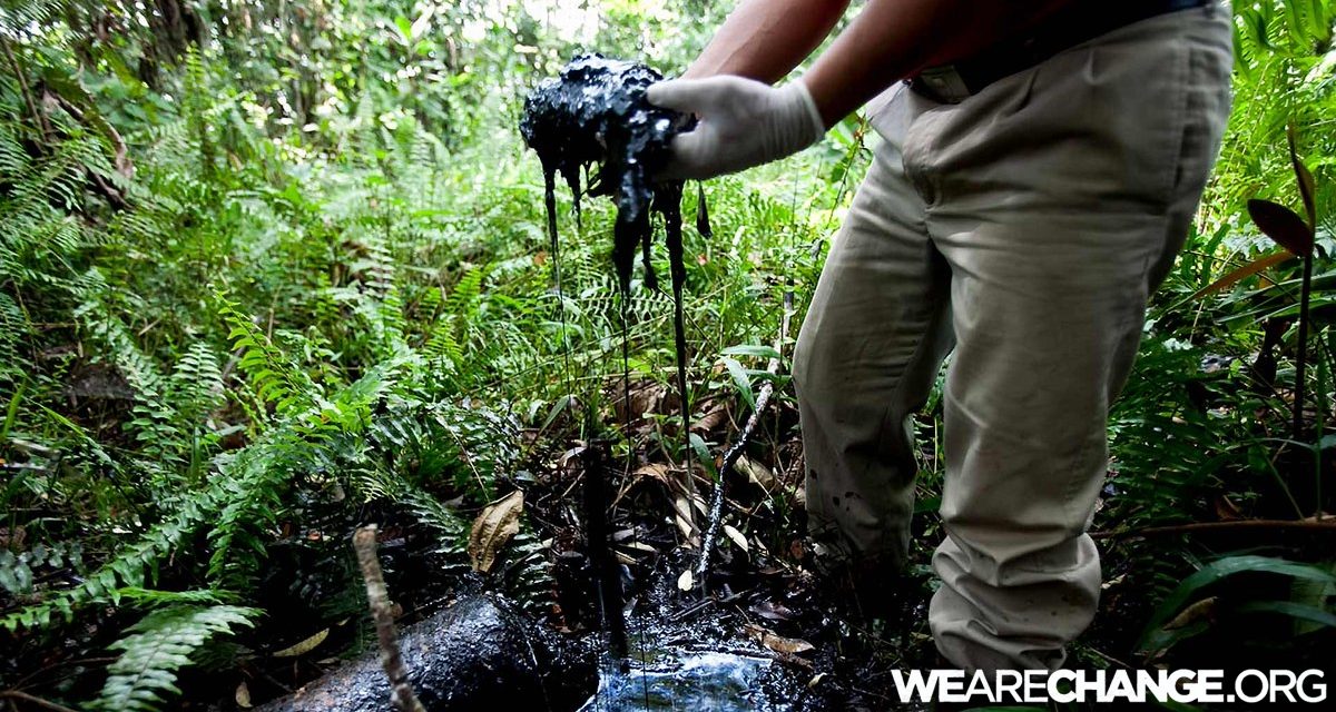 Ecuador To Sell 1/3 Of Its Amazon Rainforest To Chinese Oil Companies