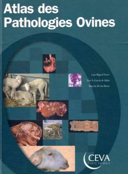 Atlas des pathologies ovines (incomplet) - WWW.VETBOOKSTORE.COM