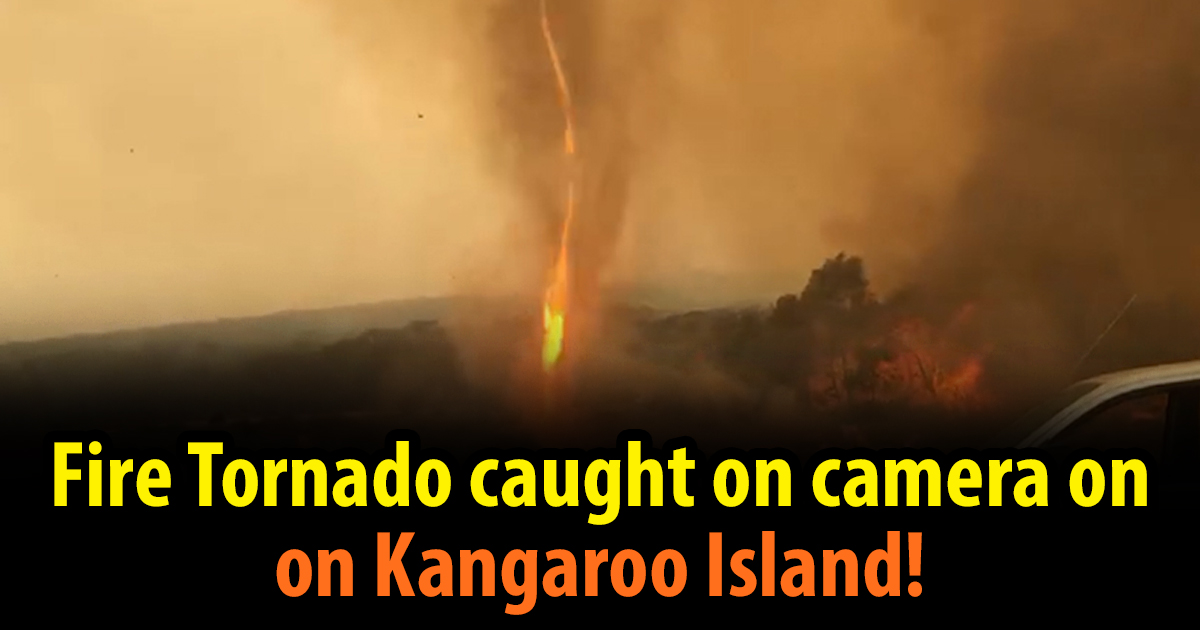Fire Tornado caught on camera on Kangaroo Island as Australian