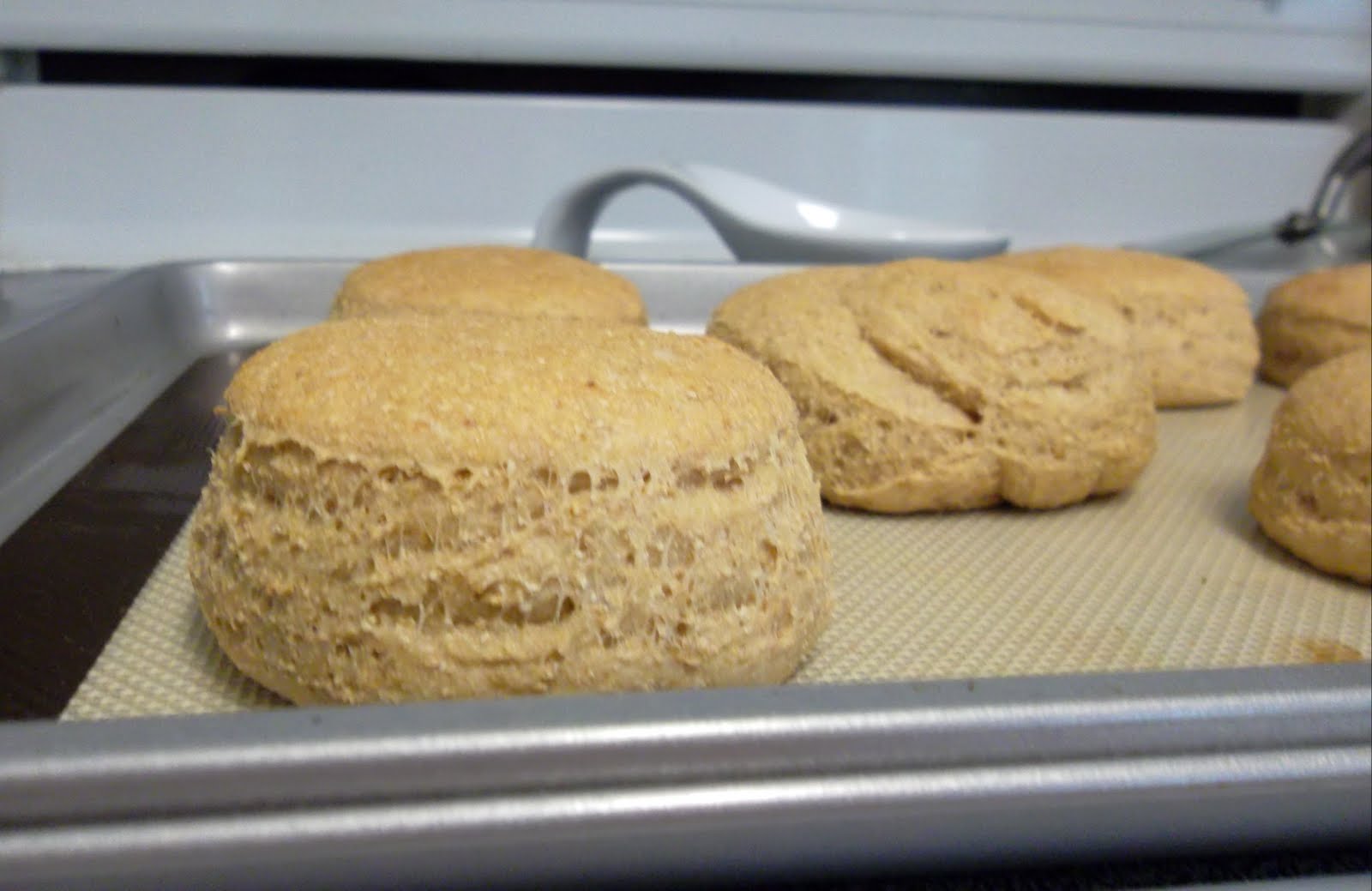 Whole Wheat Hamburger Bun Recipe Bread Maker