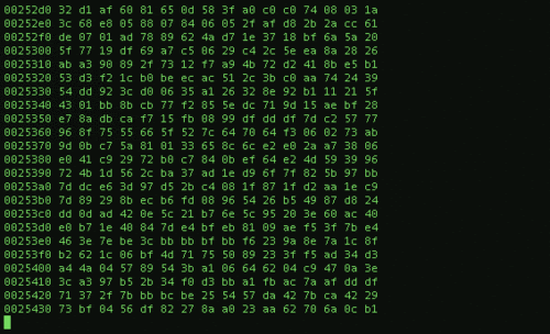 binarios para whatsapp descargar binarios para whatsapp descargar