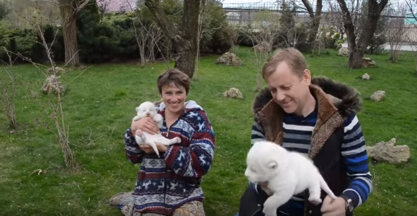 Новые видео татьяны алексагиной