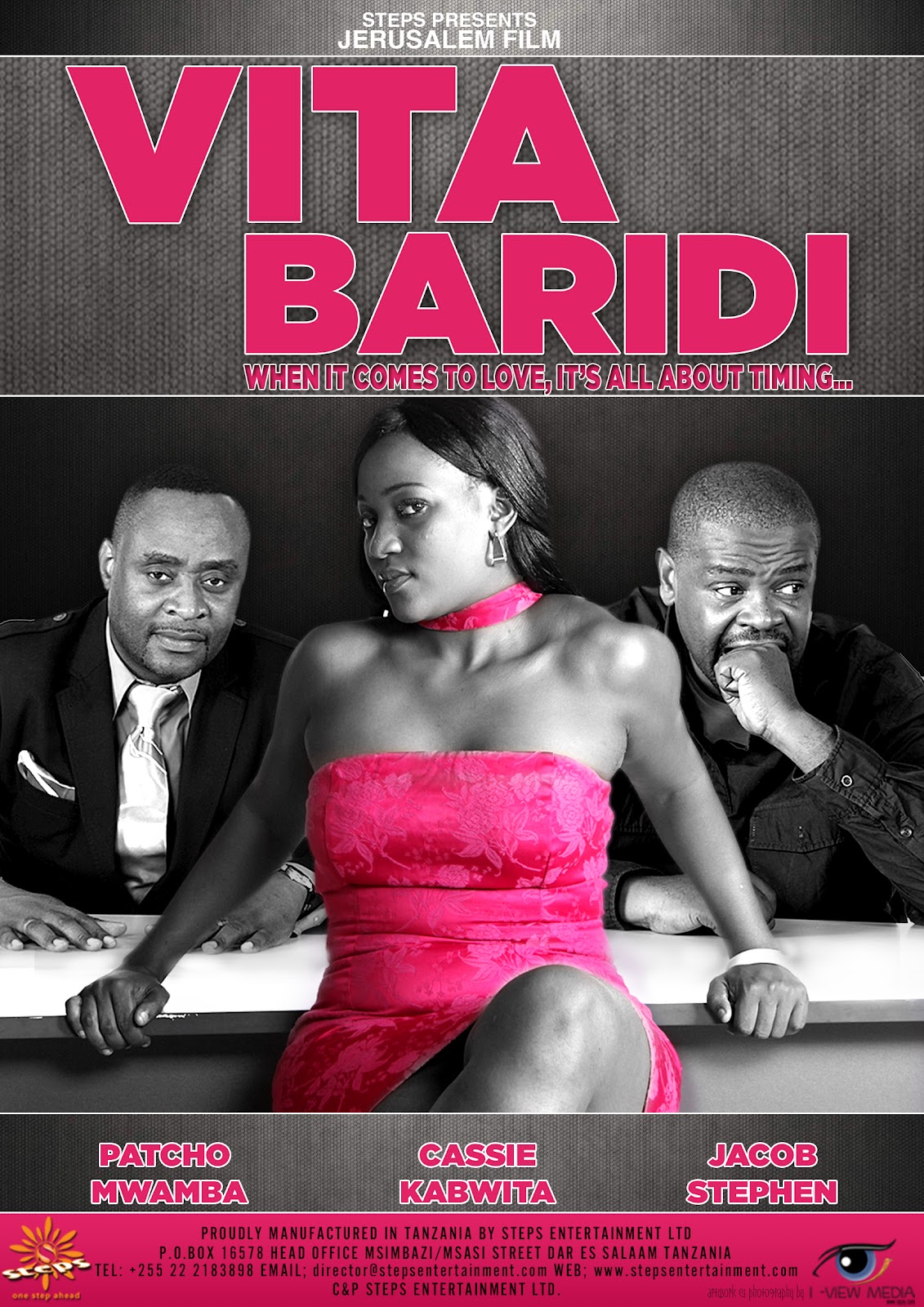 THE SCRIPT PROFESSIONS TO BONGO MOVIES BLOG