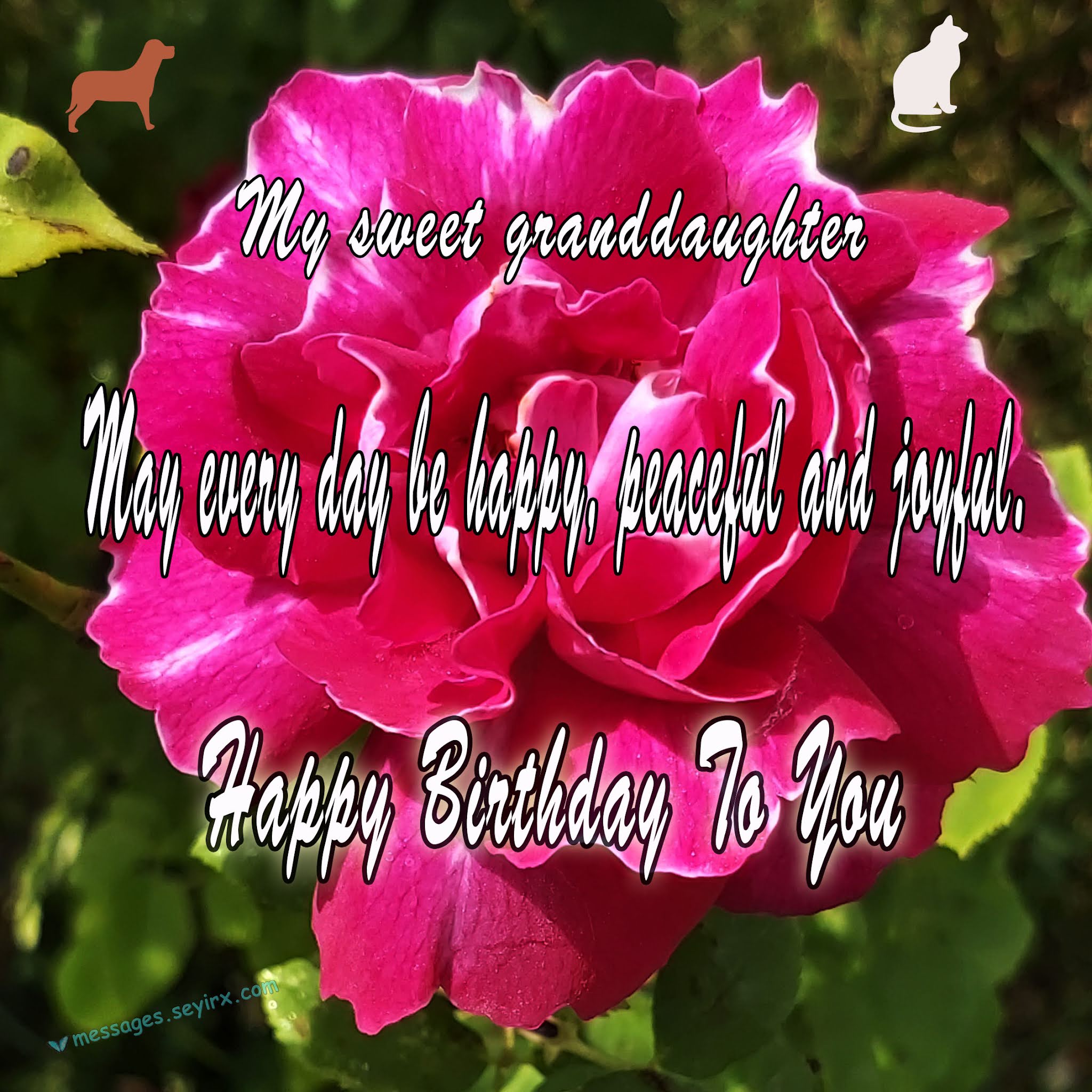 Happy Birthday Granddaughter Wishes Images