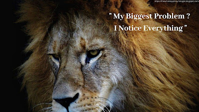 Brave  lion Quotes