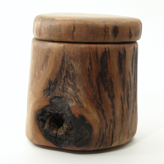 Earnest Efforts Chokecherry Driftwood Debute