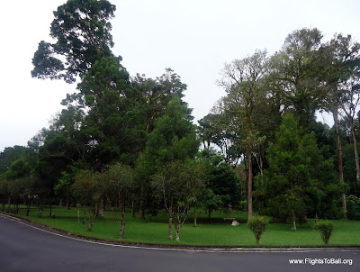 Bedugul Botanical Garden Bali Indonesia 3