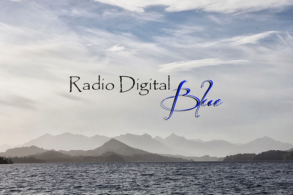 CIRUJANO DE LETRAS 2013