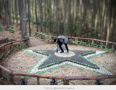 10 Spot Hunting Foto Keren Hutan Pinus Asri Karangasem | anekawisataindonesia.com