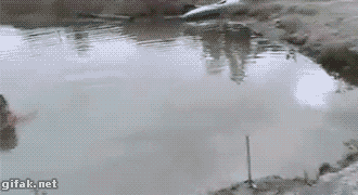 daily_gifdump_3510_26.gif