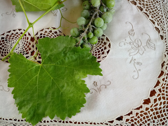 Uvas y hojas de parra sobre mantel antiguo de tela y ganchillo