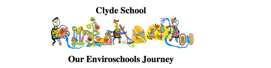 Clyde Enviroschools Journey