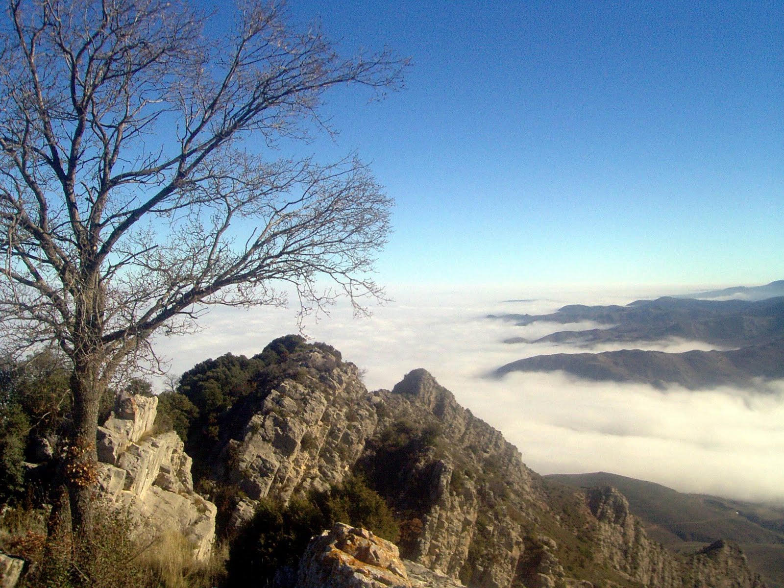TRACKSRIOJA Arista E de Monte LaturceEscalada