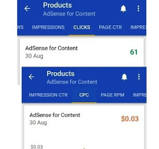 AdSense Earning proof