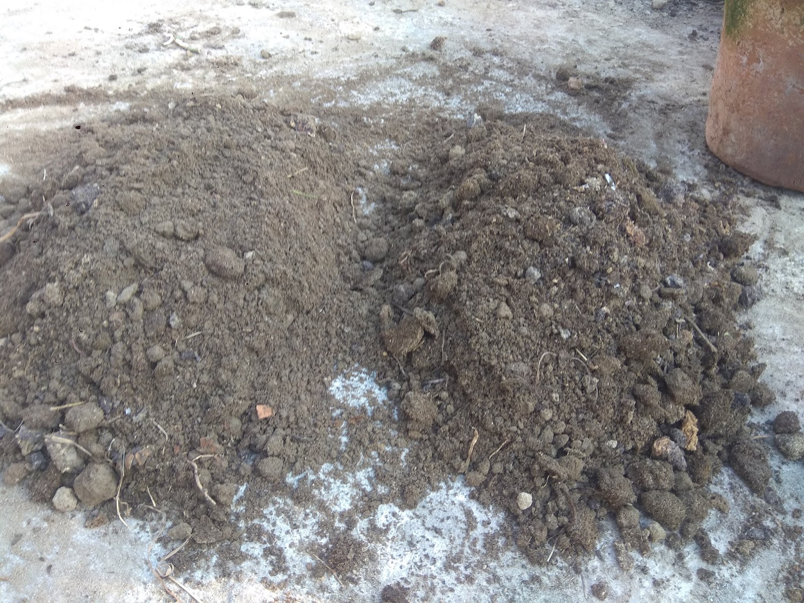 How To Prepare Soil for Roof Gardening/Balcony Gardening - Green Life