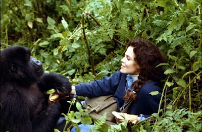 Gorillas In The Mist 1988 Sigourney Weaver Movie Image 10