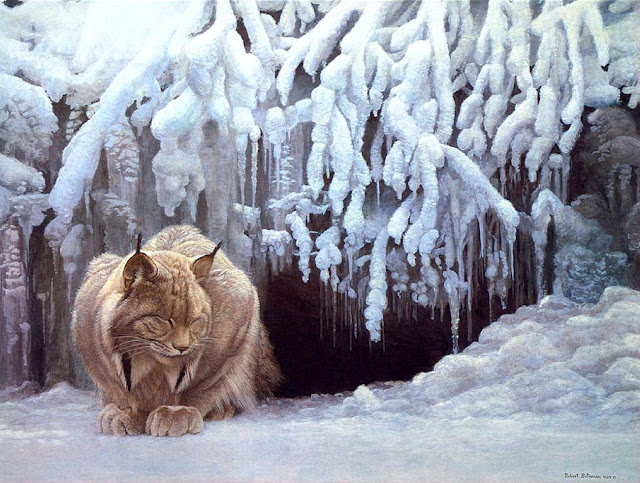 Роберт Бейтмэн / Robert Bateman Dozing Lynx, 1987.