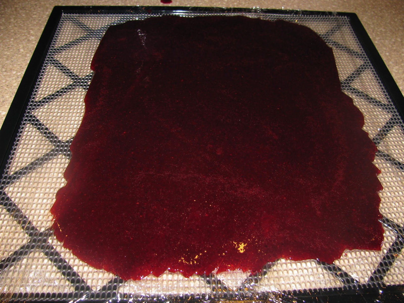 The Harried Homemaker Preps The Easiest Fruit to Grow for Survival