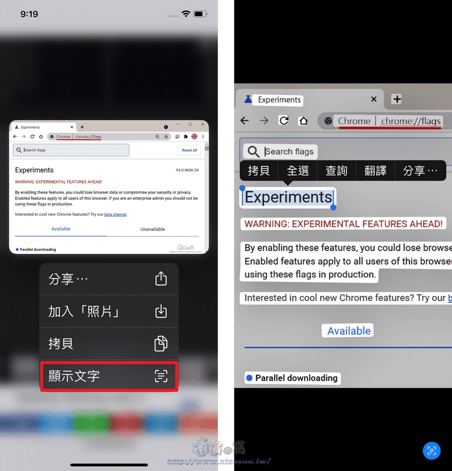 iOS 15 原況文字 iPhone 相機掃描文字即可輸入